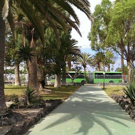 Papagayo Beach Apartments أرونا المظهر الخارجي الصورة
